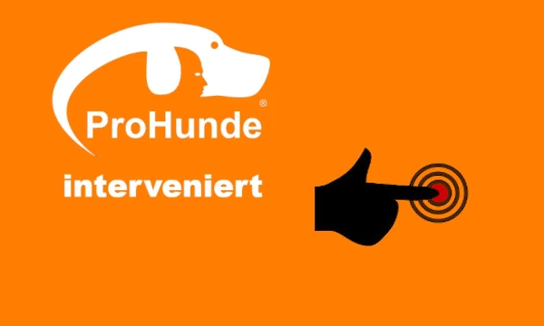 Pro Hunde interveniert