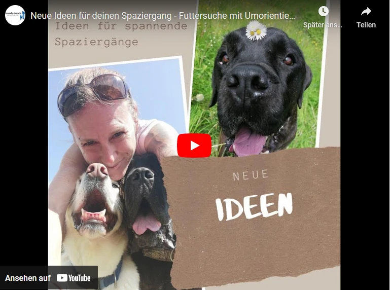 Youtube Video Ideen für den Spaziergang