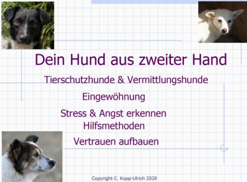 Buchcover Dein Hund aus zweiter Hand