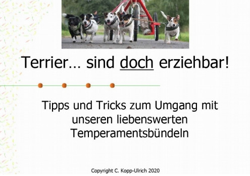 Buchcover Terrier sind doch erziehbar!