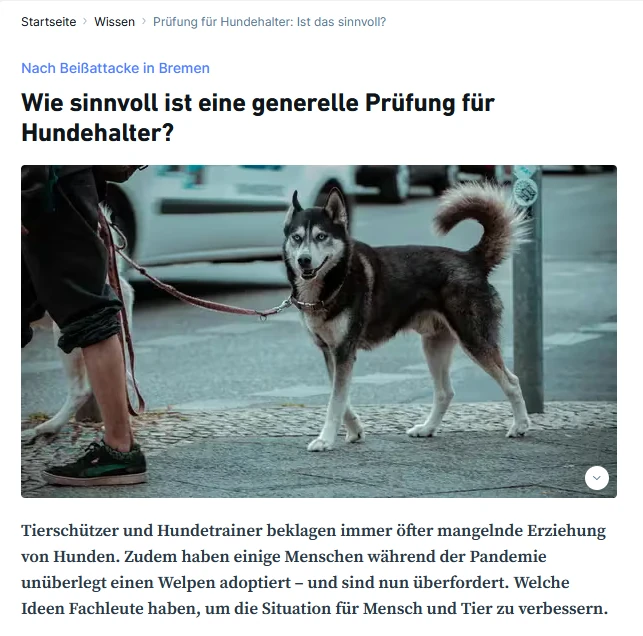 ProHunde äussert sich - Wie sinnvoll ist eine generelle Prüfung für Hundehalter?