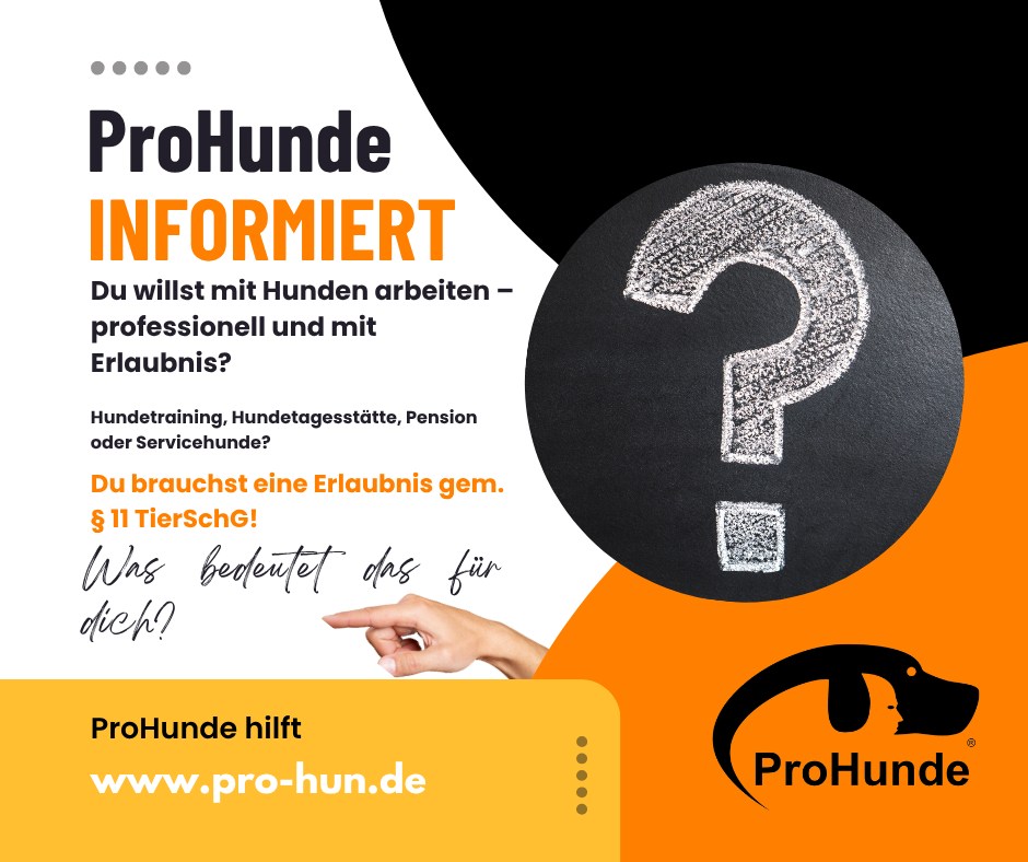 Infografik Online-Infoveranstaltung