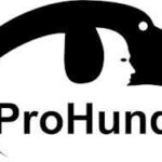 Wasserzeichen Logo