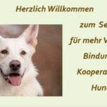 Seminar Vertrauen wächst nicht auf Bäumen kl