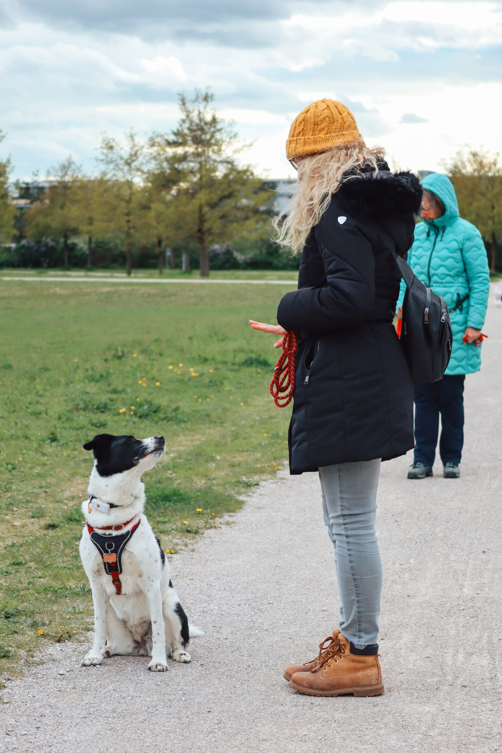 Frau am Wegfesrand mit Hund