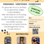 Hundegesundheit-im-Fokus