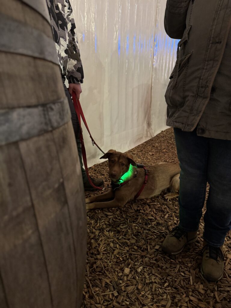 Beitragsbild Grenzen finden, Grenzen setzen