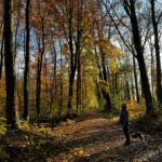 Beitragsbild Grenzen finden