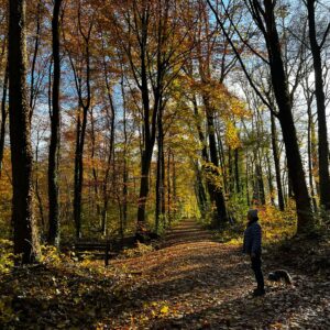 Beitragsbild Grenzen finden