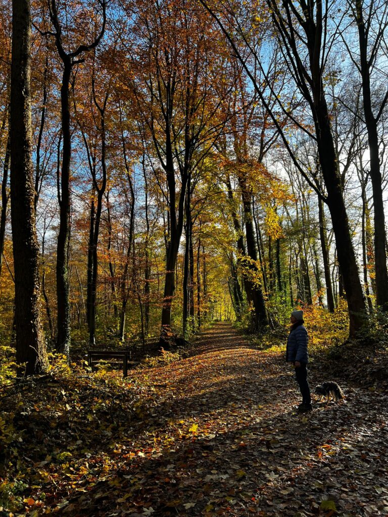 Beitragsbild Grenzen finden