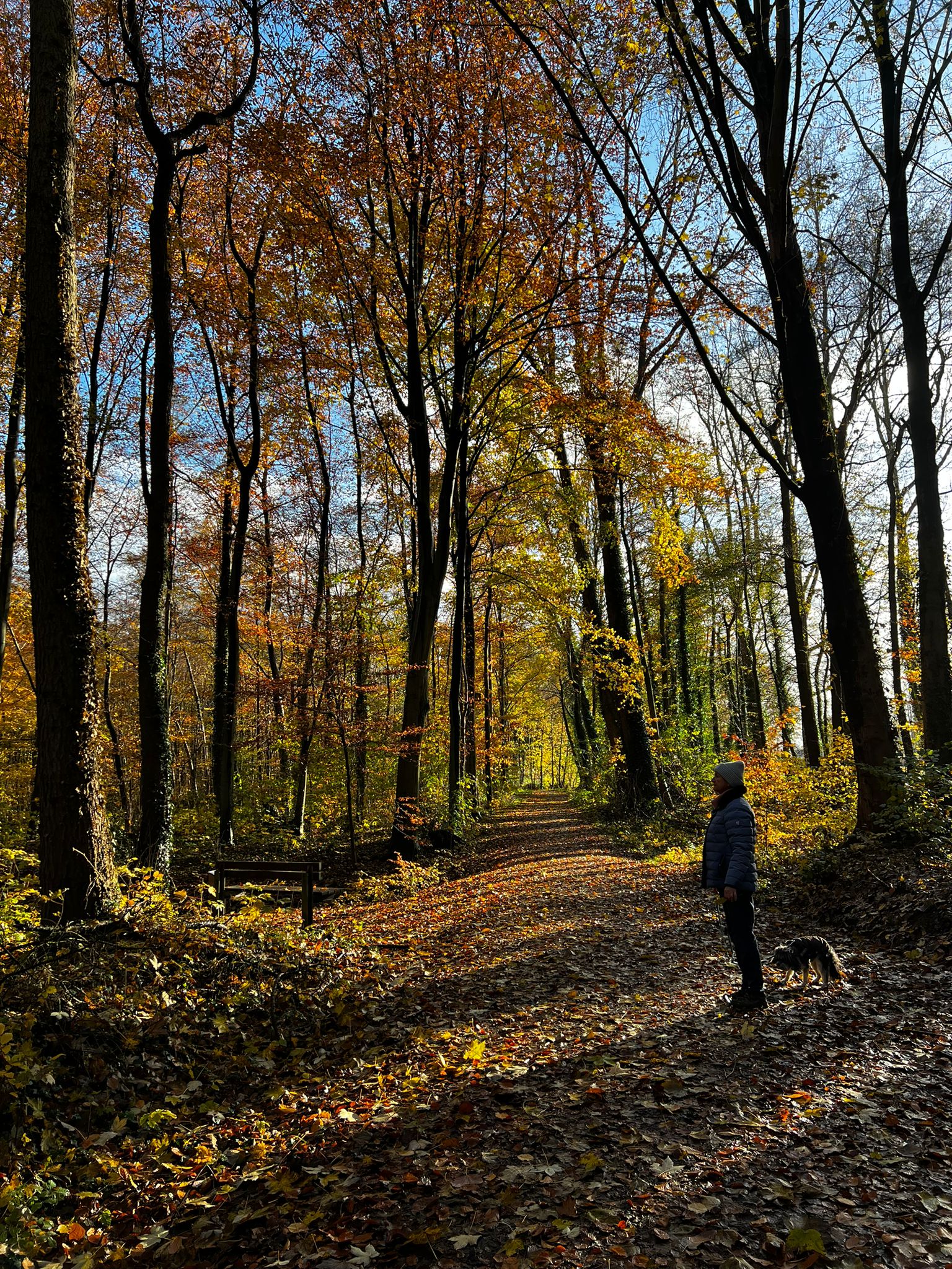 Beitragsbild Grenzen finden