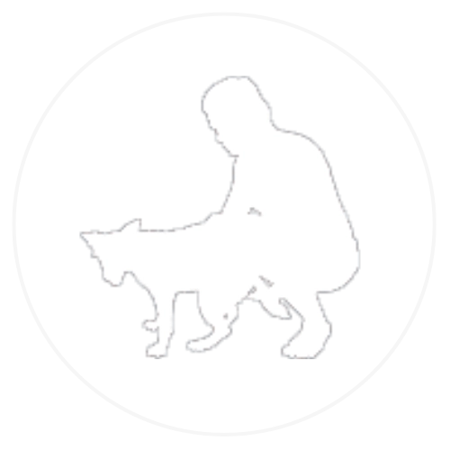 Icon für physio_hunde