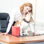 Beitragsbild Das "Kleingedruckte" der AGB