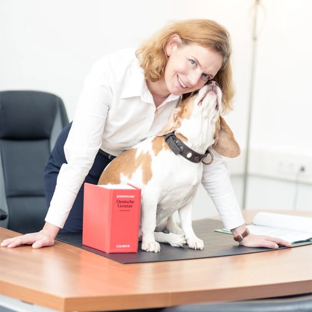 Beitragsbild Das "Kleingedruckte" der AGB