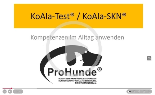 Screenshot Youtube Viedo