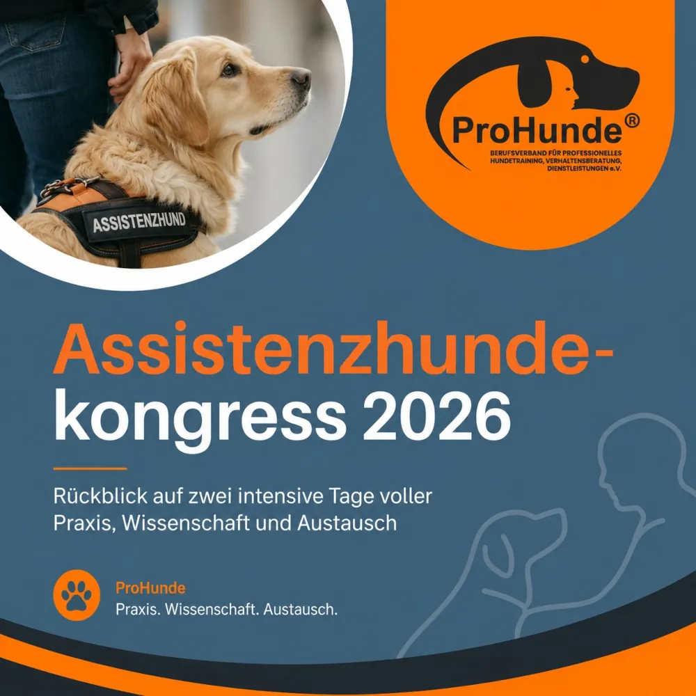 Beitragsbild Bericht Assistenzhundekongress