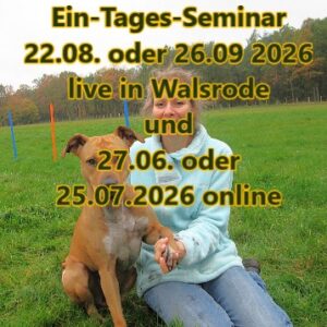 Beitragbild Trust Technique Basis-Seminar online – Ein Tag der die Beziehung zu deinem Hund verändert