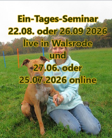 Beitragbild Trust Technique Basis-Seminar online – Ein Tag der die Beziehung zu deinem Hund verändert
