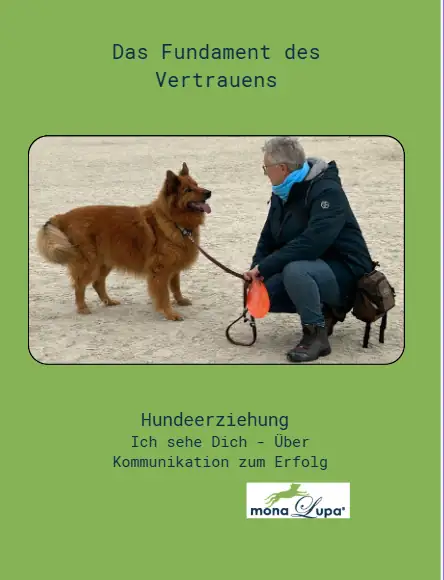 Buchcover Das Fundament des Vertrauens