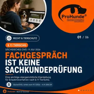 Beitragsbiuld OVG-Sachsen-Fachgespraech