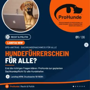Beitragsbild Hundefuehrerschein