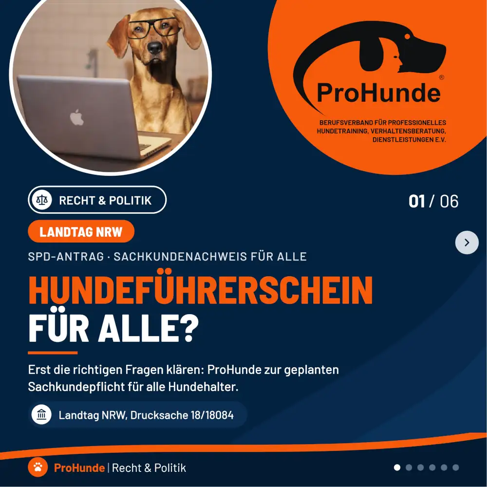 Beitragsbild Hundefuehrerschein