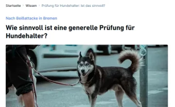 ProHunde äussert sich – Wie sinnvoll ist eine generelle Prüfung für Hundehalter?