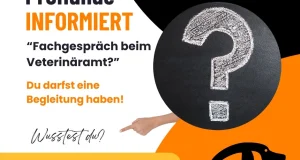 Recht auf Beistand bei Amtshandlungen