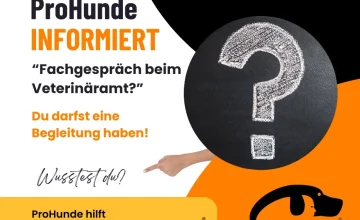 Recht auf Beistand bei Amtshandlungen