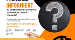 Du willst mit Hunden arbeiten – professionell und mit Erlaubnis?