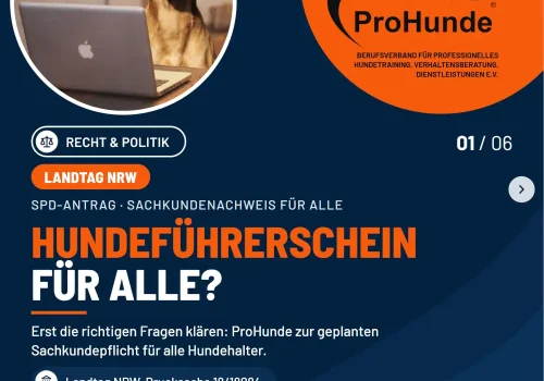 Beitragsbild Hundefuehrerschein