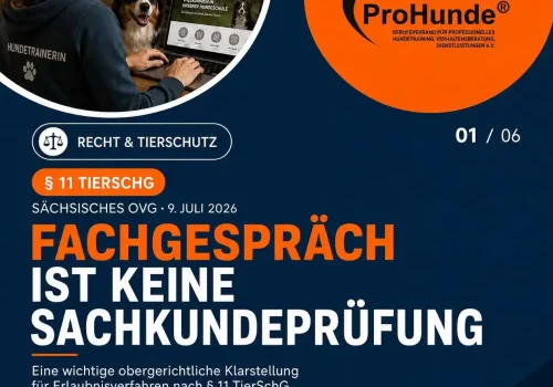 Beitragsbiuld OVG-Sachsen-Fachgespraech