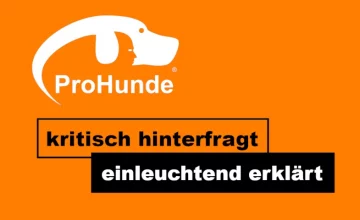 Petition für Petitionen